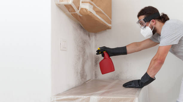 Professional Bathroom Mold Removal technician working in Arlington, VA