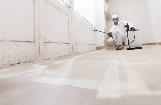 24/7 Emergency Bathroom Mold Removal experts in Arlington, VA